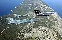 PAir of MiG-21s and F-14 in 2002.