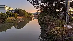 Upstream from Old Bayshore Highway