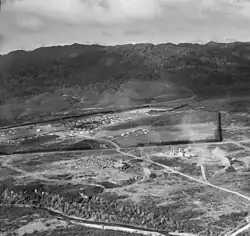 Aerial view of Minginui in 1958