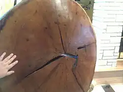 A transection of the Mingo Oak's trunk, on display.