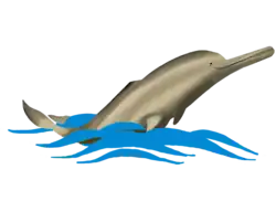 Coat of arms or logo