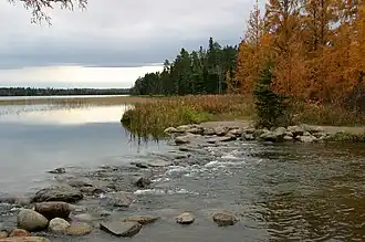 Itasca Natural Area