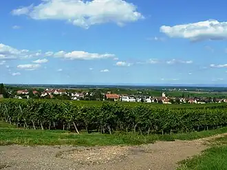 A general view of Mittelwihr, from the vineyard