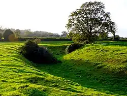 Moated site, two fishponds and associated earthworks at Knight House Farm
