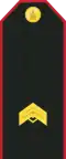 Mongolian Army-JSG-service