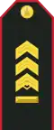 Mongolian Army-MSG-service