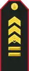 Mongolian Army-SGM-service