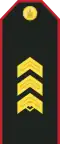 Mongolian Army-SSG-service