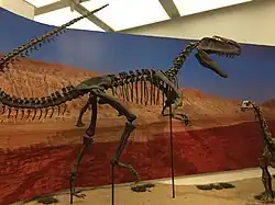 A Monolophosaurus attacking a Bellusaurus in a temporary Silk Road exhibit.