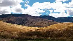 Picture of the Central Otago region in New Zealand