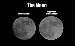 refer to nearby text