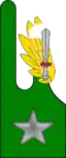 4th Alpini Paratroopers Regiment