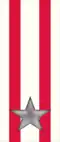 41st, 42nd, 341st Regiment "Modena"
