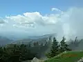 View from Mount Mitchell