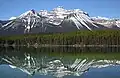 Mount Niblock reflected in Lake Herbert