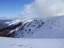 Mount Bogong