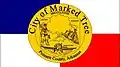 Flag of Marked Tree, Arkansas