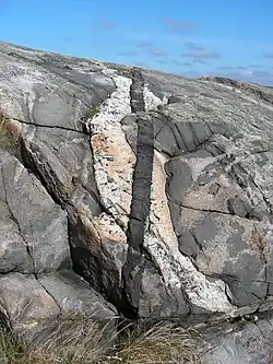 A light-gray igneous intrusion in Sweden cut by a younger white pegmatite dike, which in turn is cut by an even younger black diabase dike