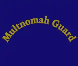 Digital reconstruction of Multnomah Guard Battalion flag, 1918[21]