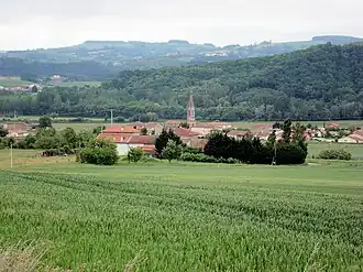 A general view of Mureils