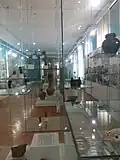 Museum of Vojvodina (interior exhibits)