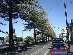 Marine Parade, Napier