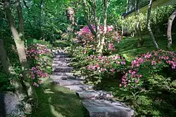 Bright pink azalea flowers border a stone stair case.