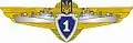 1st grade Specialist Badge