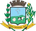 Coat of arms of Novo Cruzeiro