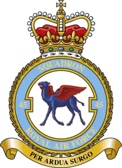 Squadron badge