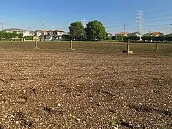 Yamazaki Shell Mound