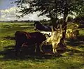 Two cows and a horse standing in the shade of a tree in a field. More seated cows in the background