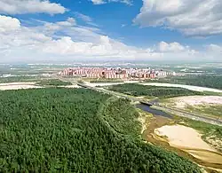 Jungle in Novy Urengoy