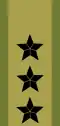 Generalløytnant[39] (Norwegian Army)
