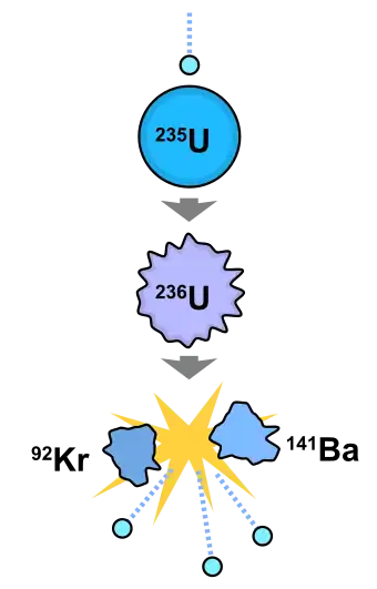 A diagram showing a chain transformation of uranium-235 to uranium-236 to barium-141 and krypton-92