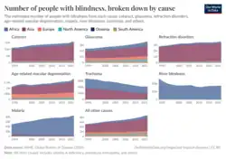 Charts showing the estimated number of people with blindness from each cause: cataract, glaucoma, refraction disorders, age-related macular degeneration, malaria, river blindness, trachoma, and others