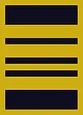 Flight suit sleeve insignia for a major (–2003)