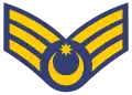 Baş gizir (Azerbaijani Air Forces)[2]