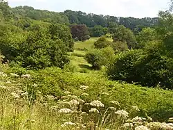 Upper Greensand Hangers: Empshott to Hawkley