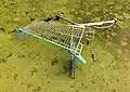 A broken shopping cart, thrown into a waterway, Netherlands