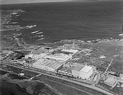 Ocean Beach freezing works (1956)