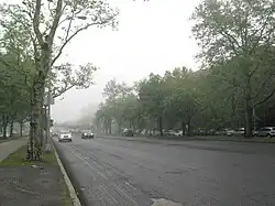 The main roadway as seen in 2011. The pavement has been removed, and vehicles are driving on the plain roadbed. On either side are trees.