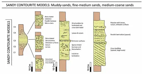 Sandy contourite familyfor muddy sands, fine-to-medium sandsand medium-to-coarse sands