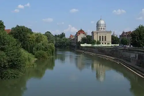 The Crișul Repede River