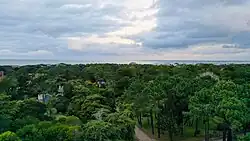 Cariló from above, with houses embedded in dense forest