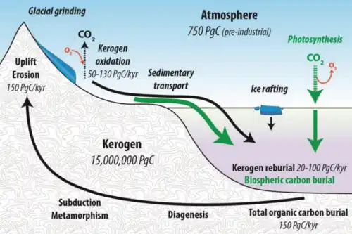 Kerogen cycle[51][52]