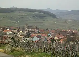A general view of Orschwihr