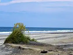 Pea Island Ocean View