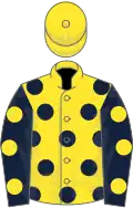 Yellow, dark blue spots, dark blue sleeves, yellow spots, yellow cap
