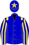 Blue, yellow epaulets, striped sleeves, star on cap